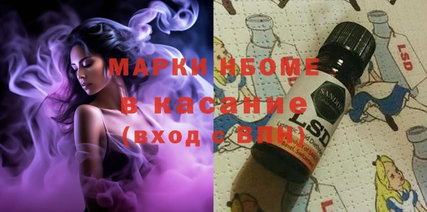 молекула духа Щигры