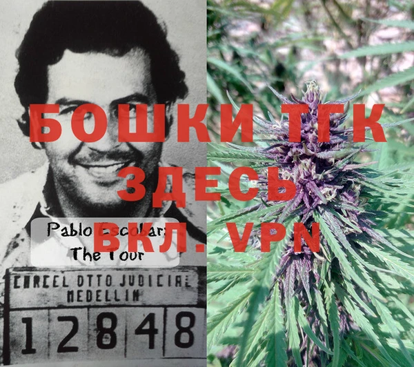 дживик Янаул