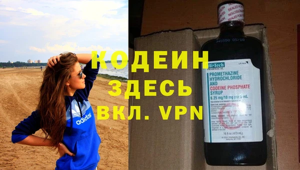 молекула духа Щигры
