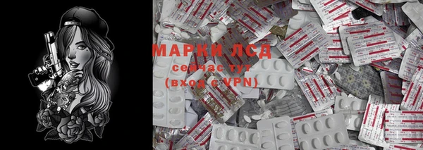 молекула духа Щигры