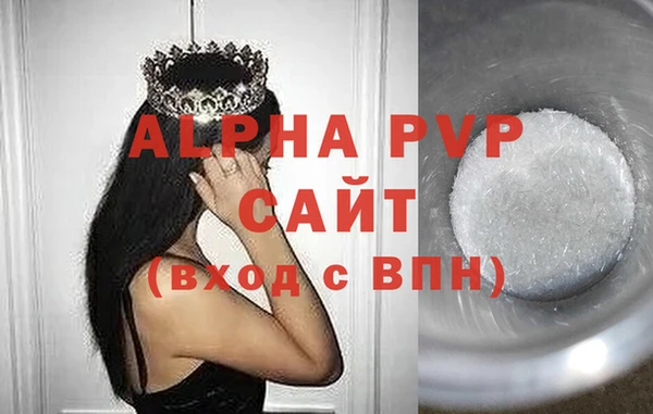 молекула духа Щигры