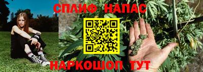 индика Апшеронск