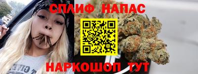 индика Апшеронск