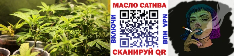 купить  цена  Бердск  ТГК THC oil 