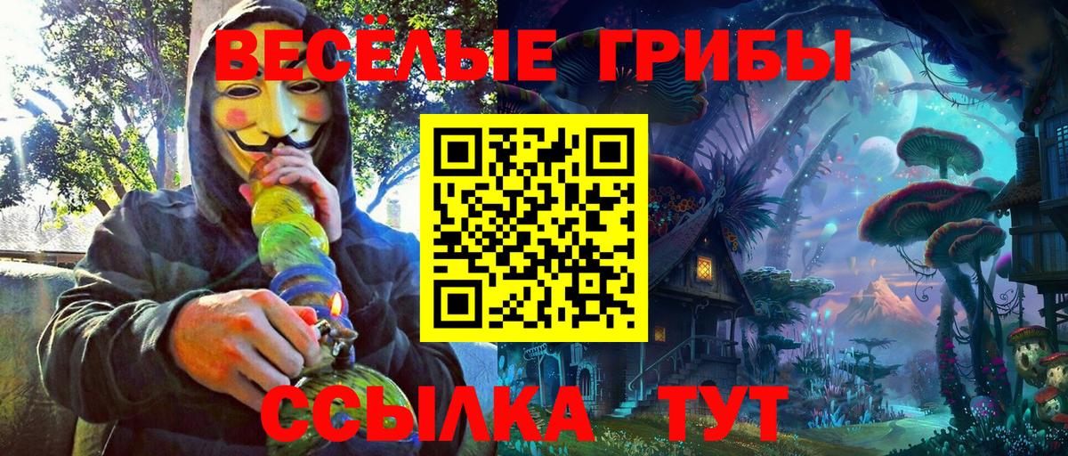 Бердск  Псилоцибиновые грибы Magic Shrooms  закладка  Псилоцибиновые грибы Magic Shrooms  Вход с VPN 