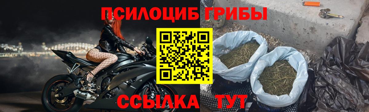 Галлюциногенные грибы GOLDEN TEACHER Бердск