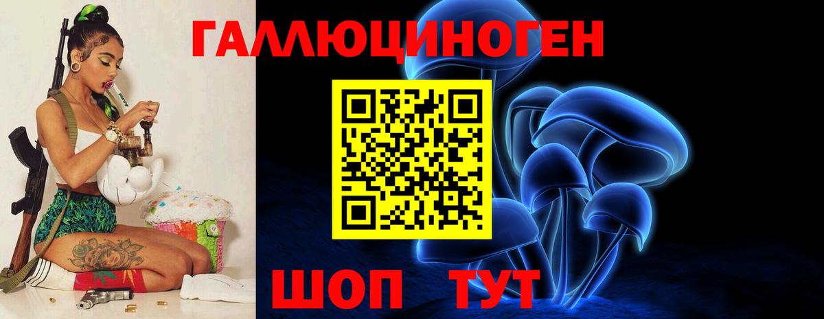 Псилоцибиновые грибы прущие грибы Бердск