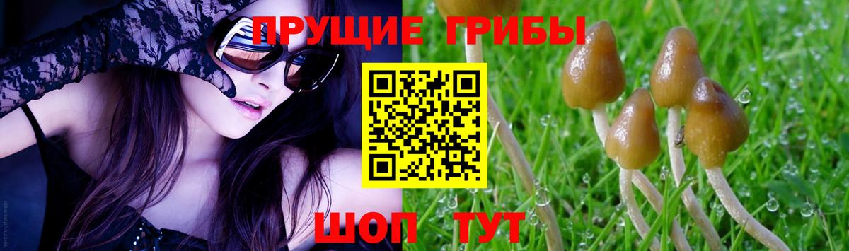 Галлюциногенные грибы мухоморы  Бердск  Псилоцибиновые грибы Magic Shrooms 