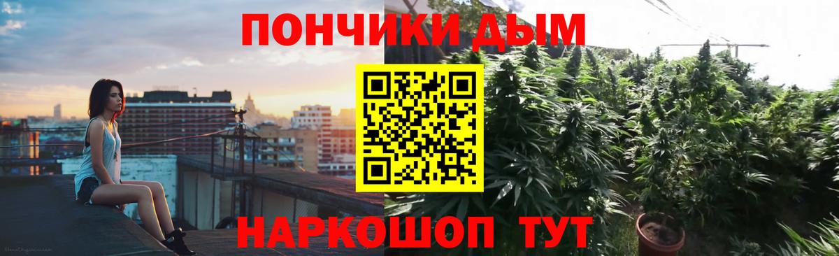 Канабис Bruce Banner  Вход с VPN  Бердск  Марихуана план  Марихуана планчик  Бошки марихуана семена 